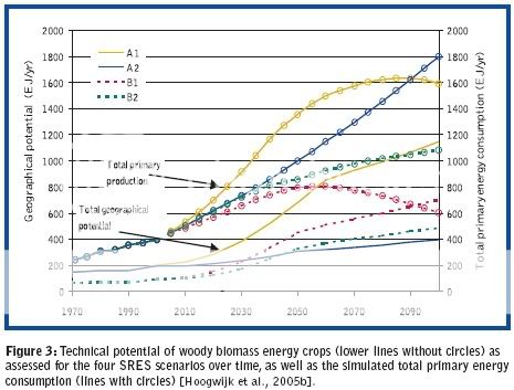 IEA Report: Bioenergy Can Meet 20 To 50% Of World's Future Energy Demand