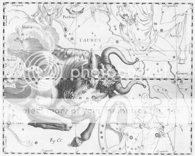 Taurus_by_Johannes_Hevelius.jpg