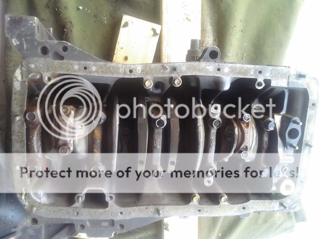 rebuildable b18a short block Tampa Racing